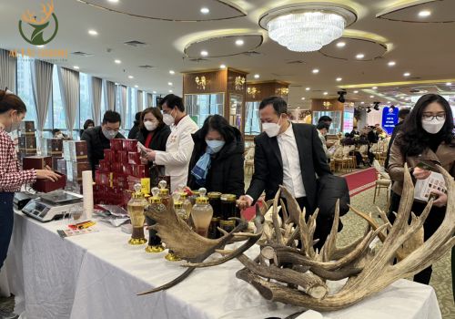 Sự kiện kỷ niệm Ngày Thầy thuốc Việt Nam 27/2/2022